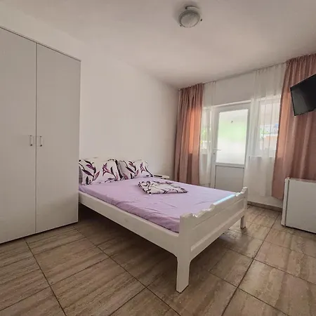 ゲストハウス Casa Selena コスティネシュティ