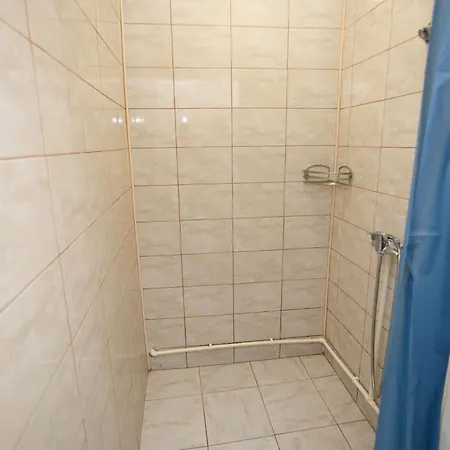 Casa Selena 3* 科斯蒂内什蒂